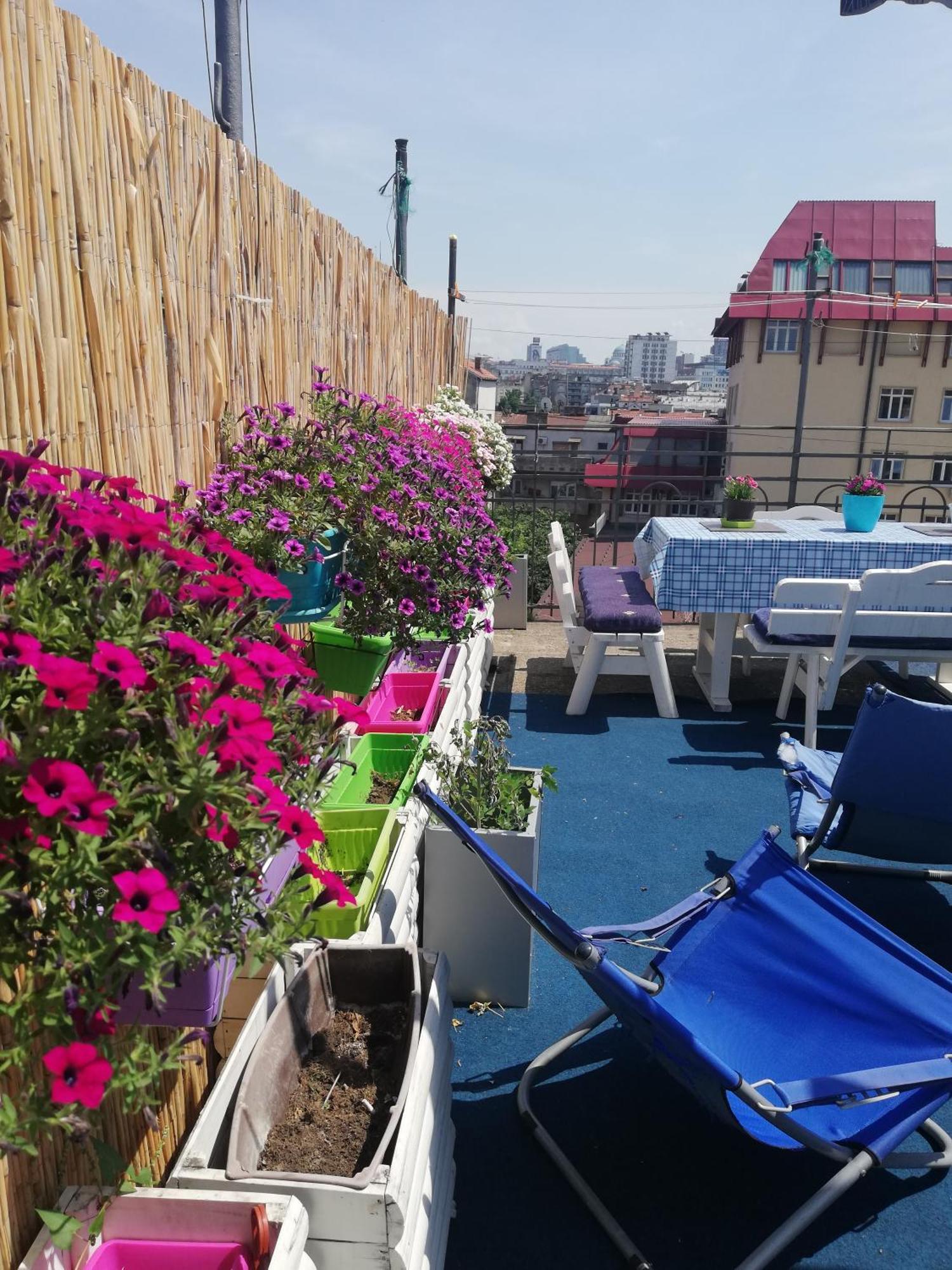 Hostel Inn Downtown Belgrad Exterior foto